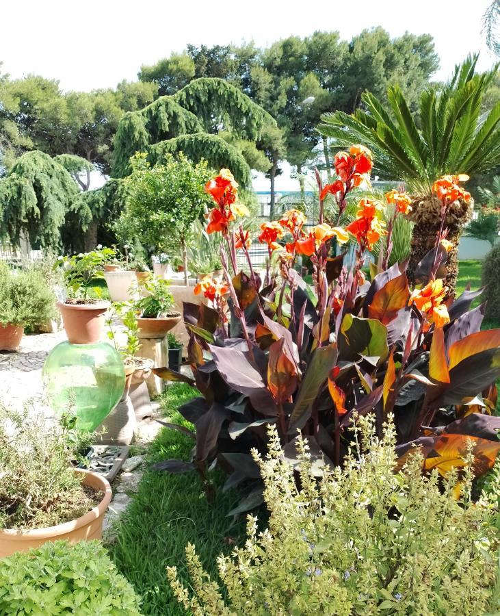 B & B Paradise Melendugno Dış mekan fotoğraf