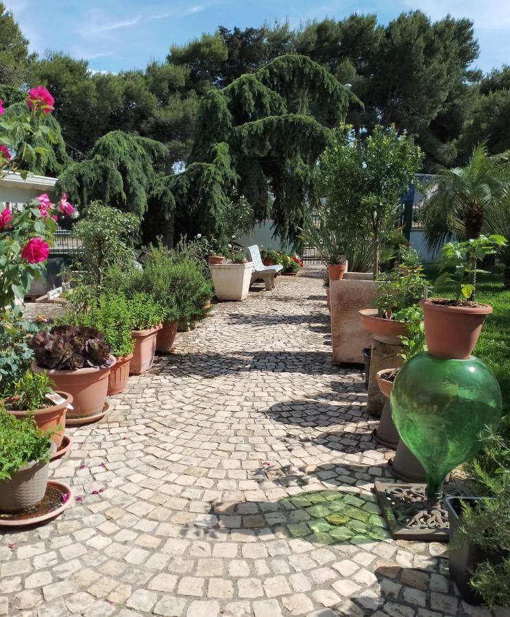 B & B Paradise Melendugno Dış mekan fotoğraf
