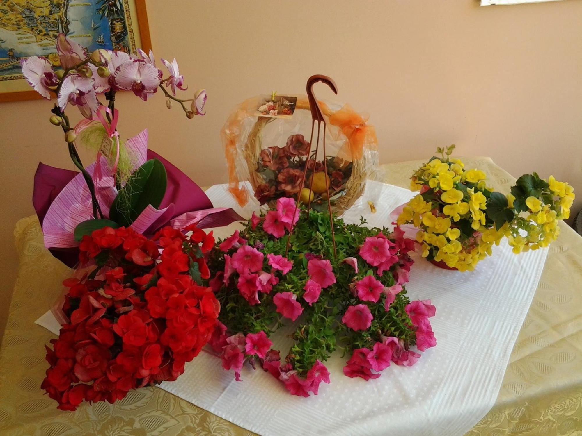 B & B Paradise Melendugno Dış mekan fotoğraf